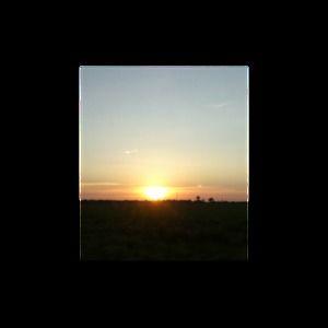 Meet your Posher, Alice